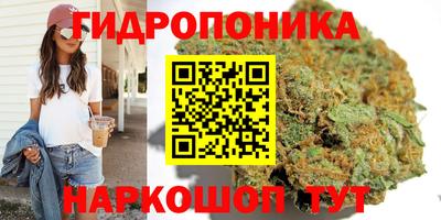 стафф Коммунар