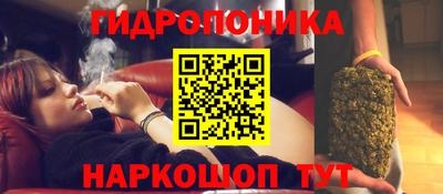 стафф Коммунар