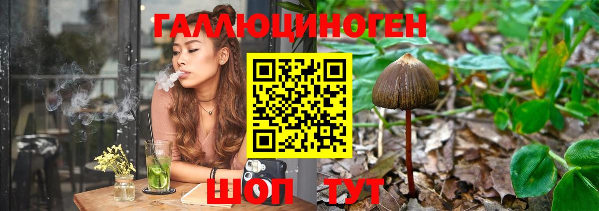 Киров  Псилоцибиновые грибы мухоморы  Галлюциногенные грибы MAGIC MUSHROOMS  Вход с VPN 